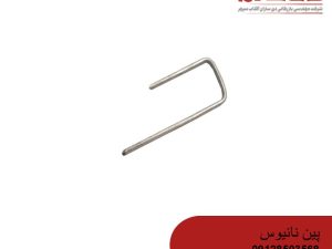 پین نانیوس
